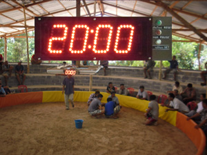 นาฬิกาโรงเรียน นาฬฺกายาม นาฬฺกาจับเวลา นาฬิกากีฬาชนไก่